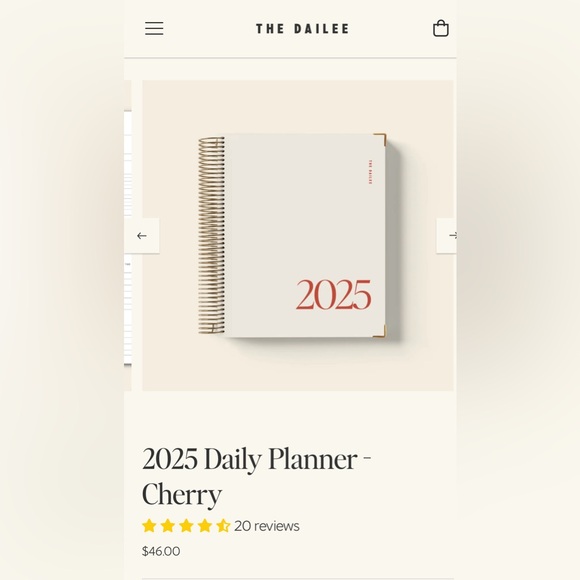 Other - ISO the original 2025 Dailee planner!